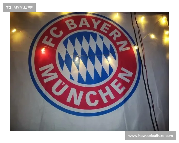 如何通过多种途径准确查找拜仁慕尼黑足球俱乐部主场球场的正式名称