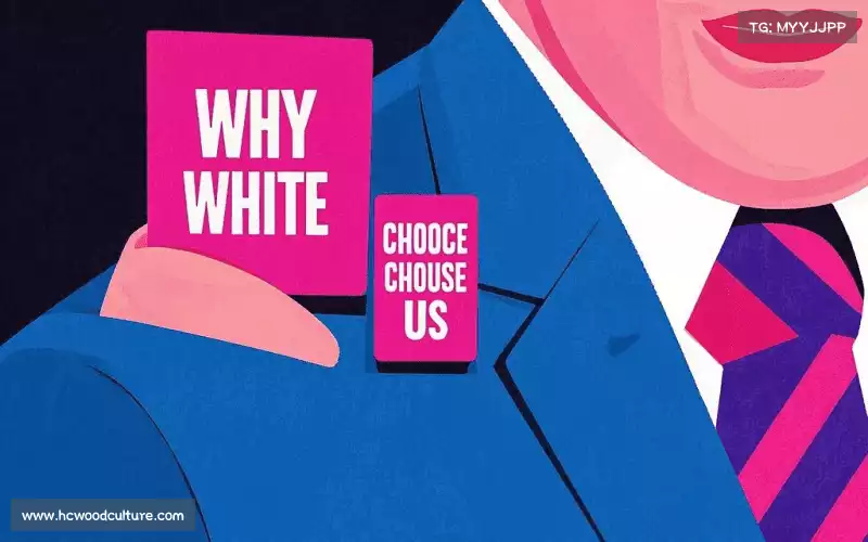 为什么选择我们？